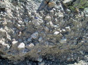 Indagini geologiche preliminari